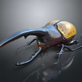 Rhinoceros Beetle Flying Insect With Large Curved Horn And Yellow Spotted Back