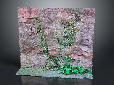 Natural Rock Surface With Lush Green Plants And Moss Growing On It 3d model