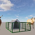 Reptile In Outdoor Space With Green Fenced White Shelter Under Blue Sky And Clouds