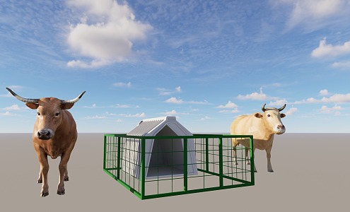 Yellow Cattle Calf Cattle Island Cattle House Cattle 3d model