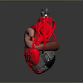 Red Mechanical Heart Shaped Doll With Intricate Internal Metal Components And Creative Design