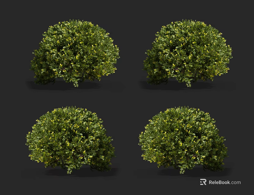 Four Round Green Bushes With Lush Healthy Foliage On Black Background 3d model 