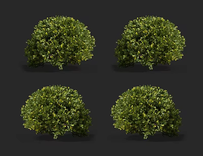 Four Round Green Bushes With Lush Healthy Foliage On Black Background 3d model
