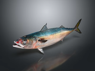 Fresh Fish With Blue Green Silver Body Red Eye And Shiny Reflection Against Gray Background 3d model