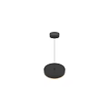 Contemporary Circular Pendant Light Featuring Black Frame And Wooden Minimalist Design