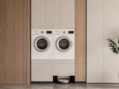 Modern Laundry Interior Design With Double Washing Machines And Wooden Storage Cabinets 3d model
