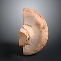 Sliced Half Mushroom Close Up View With White Brown Color And Gray Background