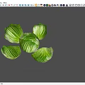 Vibrant Fresh Green Cabbage Leaves On Gray Background With Natural Shadows