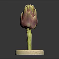 Fresh Purple and Green Artichoke Vegetable Displayed On Wooden Base Against Dark Background