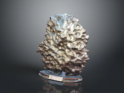 Rough Textured Wooden Stone Sculpture With Clear Base And Label Decorative Piece 3d model