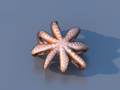 Elegant Starfish Shaped Metallic Living Supplies With Detailed Textured Surface 3d model