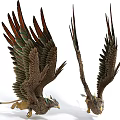 Colorful Eagle Models With Spreading Wings And Brown Green Red Feathers 3d model