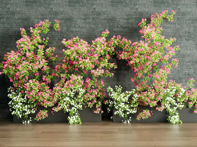 Flower Potted Flower Box Bougainvillea Green Plant 3d model