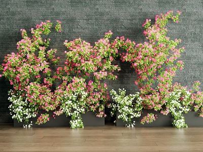 Flower Potted Flower Box Bougainvillea Green Plant model