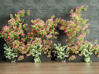 Flower Potted Flower Box Bougainvillea Green Plant 3d model