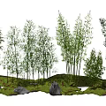 Garden Miniature Landscape With Various Trees Bamboo Rocks And Green Grass