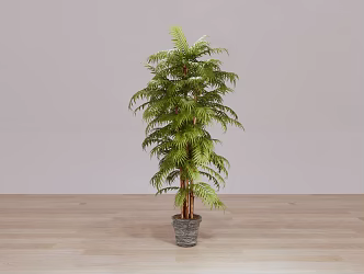 Modern Potted Plant 3d model