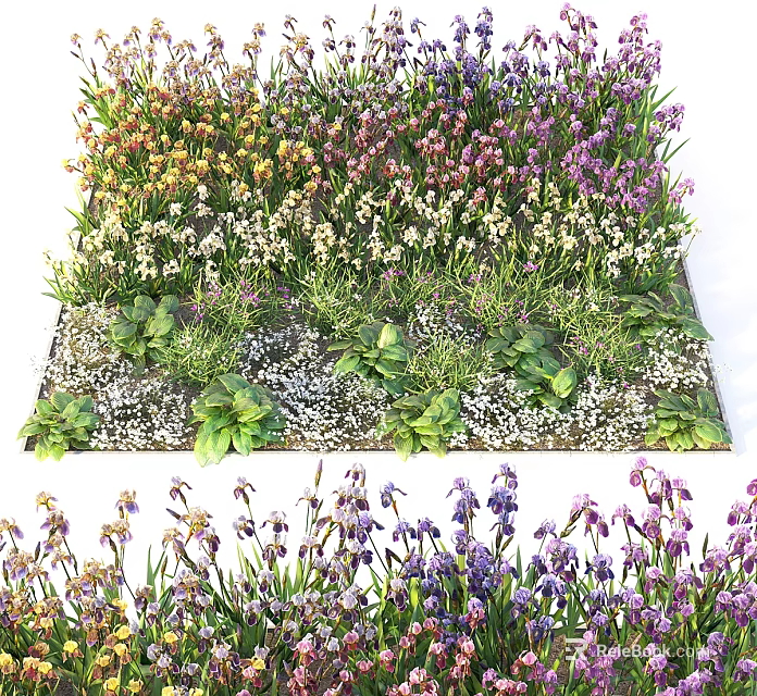 Colorful Flowers and Plants With Vibrant Blooms Green Foliage in Garden 3d model 