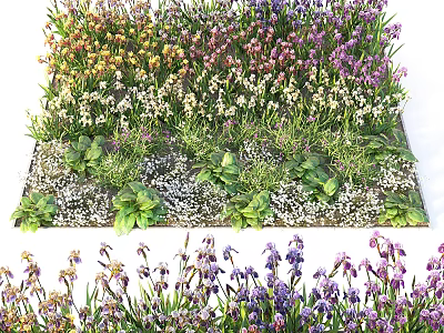 Colorful Flowers and Plants With Vibrant Blooms Green Foliage in Garden 3d model