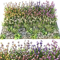 Colorful Flowers and Plants With Vibrant Blooms Green Foliage in Garden