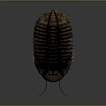 Detailed Trilobite 3D Model Featuring Compound Eyes Carapace Antennae And Legs