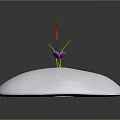 Vibrant Plant With Purple Petals Red Stamens Green Stems On White Rounded Base Dark Background
