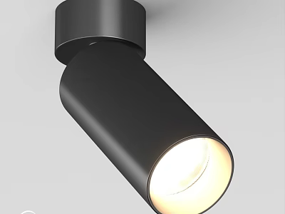 Modern Black Downlight Spotlight With Warm Illumination For Interior Use 3d model