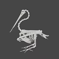 Flying Animal Skeleton of Bird with Long Beak on Green Geometric Background