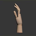 Wooden Hand Model With Poseable Fingers And Smooth Natural Finish