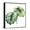 Watercolor Plant Paintings With Monstera Leaves Black Frames And White Background For Home Decor