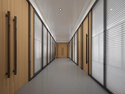 Modern Office Corridor With Wooden Doors Glass Partitions Blinds And Gray Floor 3d model