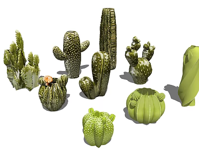 Various Types of Cactus Bonsai Potted Plants for Indoor Home Decor 3d model