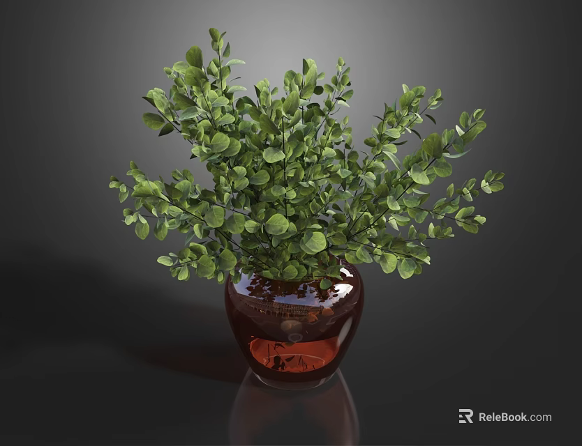 Lush Green Foliage in Dark Colored Vase on Shiny Reflective Surface 3d model