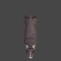 Realistic Brown and White Dog Game Movie Character 3D Model with Alert Expression