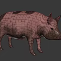 Pink Pig With Black Spots 3D Rendered Standing On Black Background Realistic Fur Texture