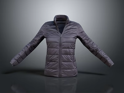 Gray Quilted Puffer Jacket With Stand Collar And Zipper Closure For Casual Wear 3d model
