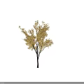 Eight Trees With Black Trunks Golden Yellow Leaves Arranged In Two Rows Four Columns