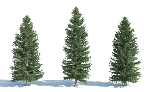 The Modern Tree 3d model