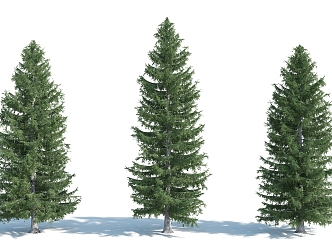 The Modern Tree 3d model