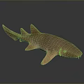 Realistic Brown Shark With Smooth Skin And Sharp Fins Swimming In Dark Water
