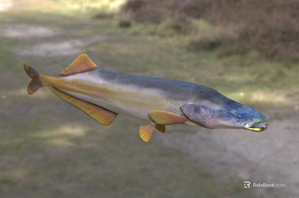 Blue And Yellow Aquatic Fish With Distinct Fins Swimming In Natural Habitat 3d model 