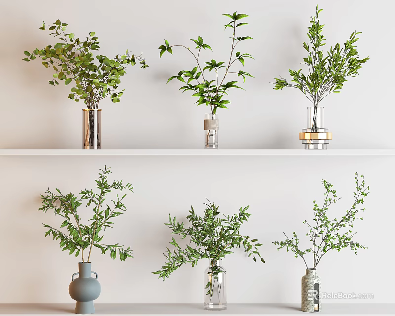 Decorative Green Plants Arranged in Various Vases on White Shelf Against White Wall 3d model 