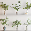 Decorative Green Plants Arranged in Various Vases on White Shelf Against White Wall