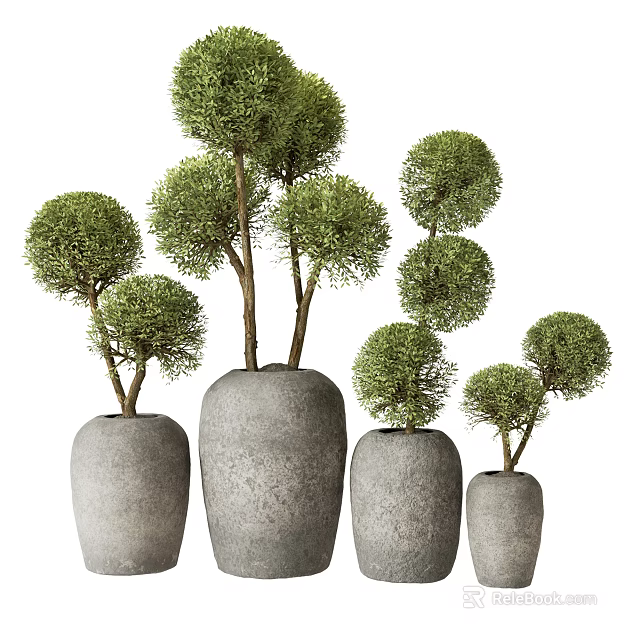 Green Spherical Bonsai Plants in Gray Ceramic Pots of Various Sizes 3d model 