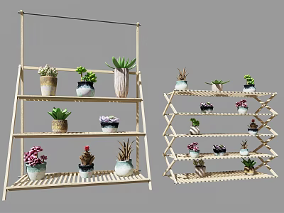 Succulent Plants Arranged on Multi Tiered Bamboo Shelves with Various Pots 3d model