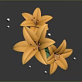 Cartoon Scene Featuring Orange Lilies With Green Stem And Leaves And White Sparkles
