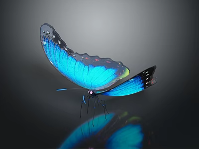 Vibrant Blue Butterfly With Iridescent Wings On Dark Background And Reflection 3d model
