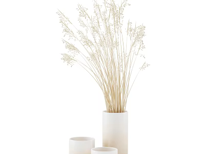 White Ceramic Vase With Dried Flowers And Small Cups For Home Decor 3d model