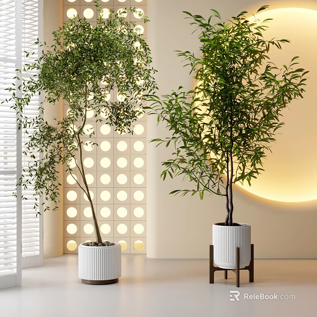 Tall Indoor Potted Plants in White Pots with White Shutters Circular Perforated Wall and Lighting 3d model 