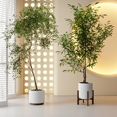 Tall Indoor Potted Plants in White Pots with White Shutters Circular Perforated Wall and Lighting 3d model